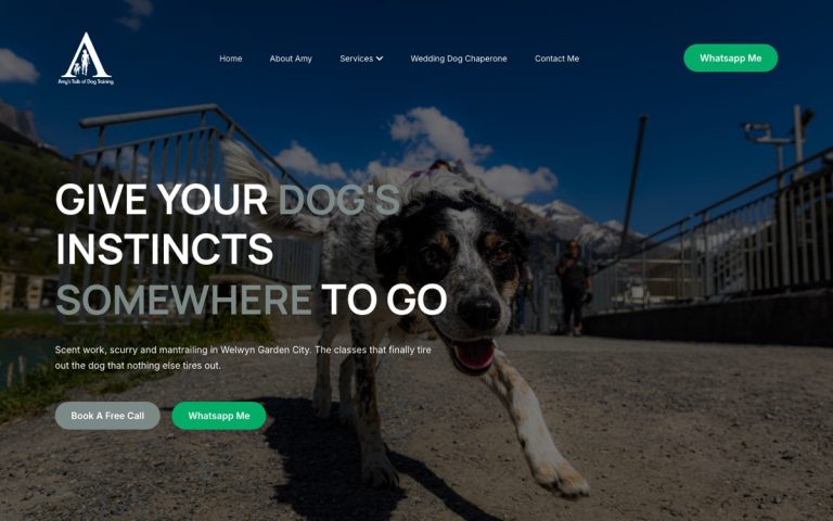 Amy's Tails of Dog Training website by Big Bark Media