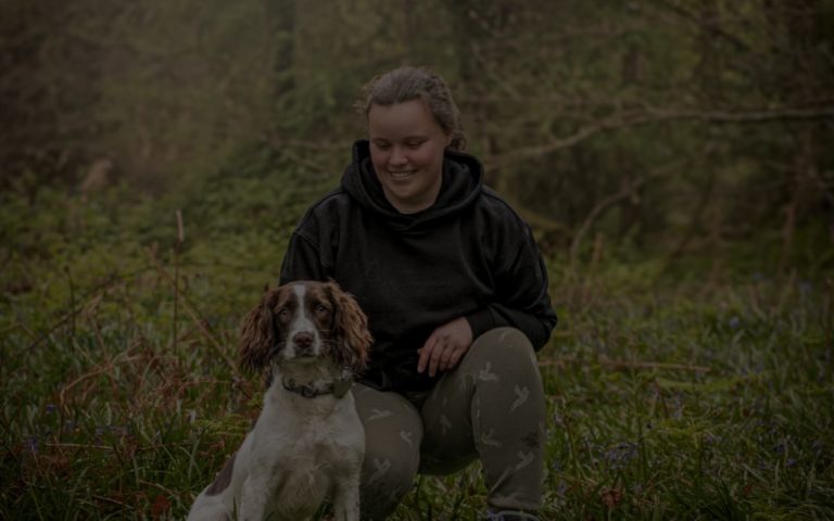 Bulah's Dog Training website by Big Bark Media