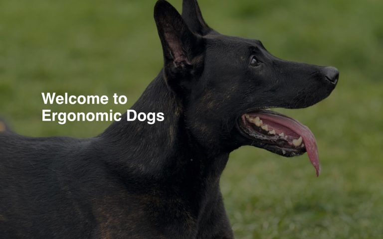 Ergonomic Dogs website by Big Bark Media