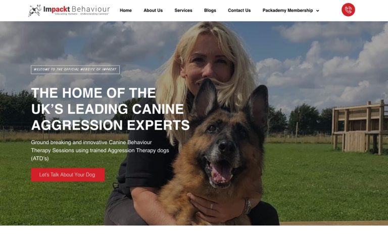 Impackt Behaviour website by Big Bark Media