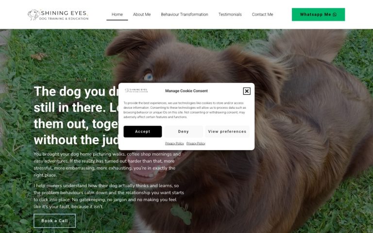 Shining Eyes Dogs website by Big Bark Media