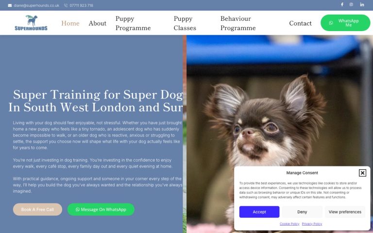 SuperHounds website by Big Bark Media